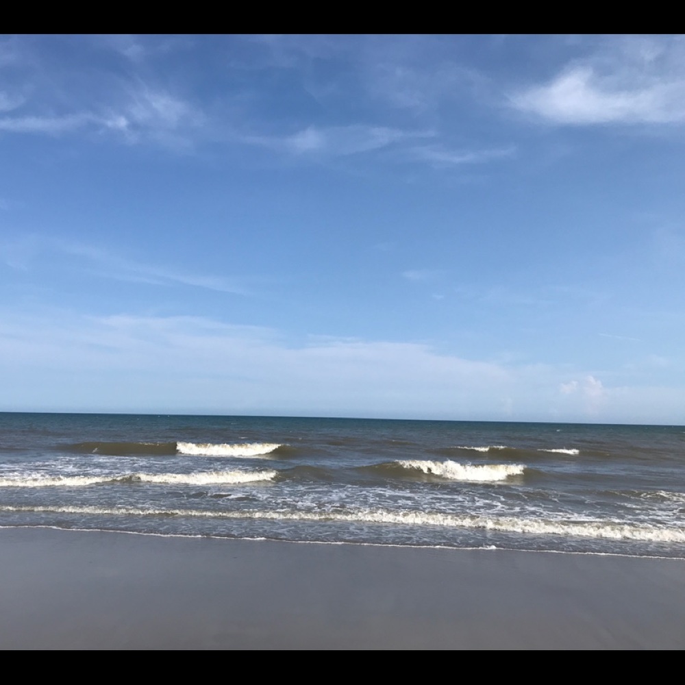 Meet your Posher, Teresa